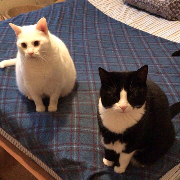 Meet your Posher, Carolyn - Picture 6 of 13